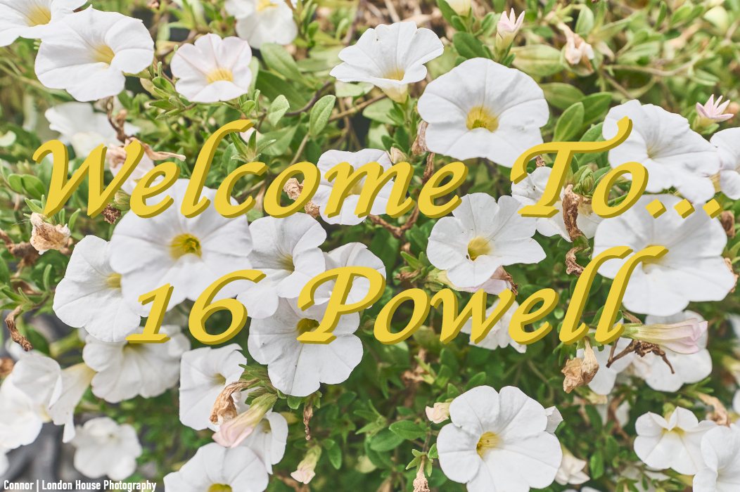 16B Powell Avenue Ottawa London House Photography