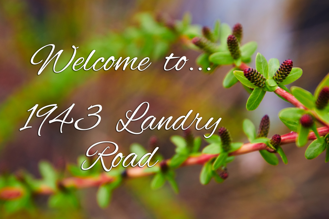 1943 Landry Street Clarence Creek London House Photography