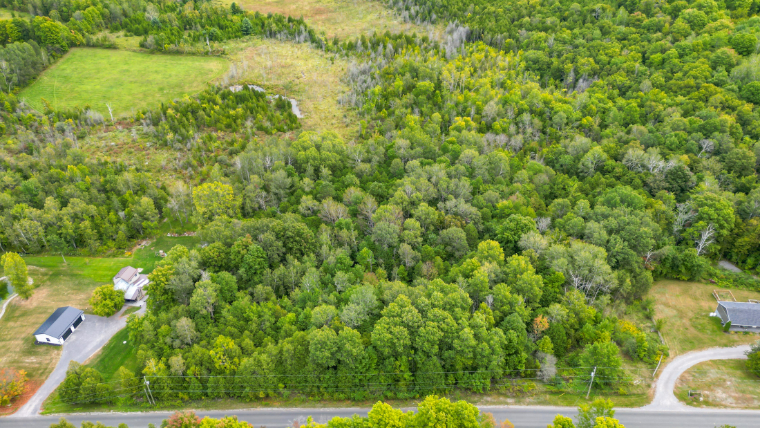 Carson Road Thomasburg London House Photography