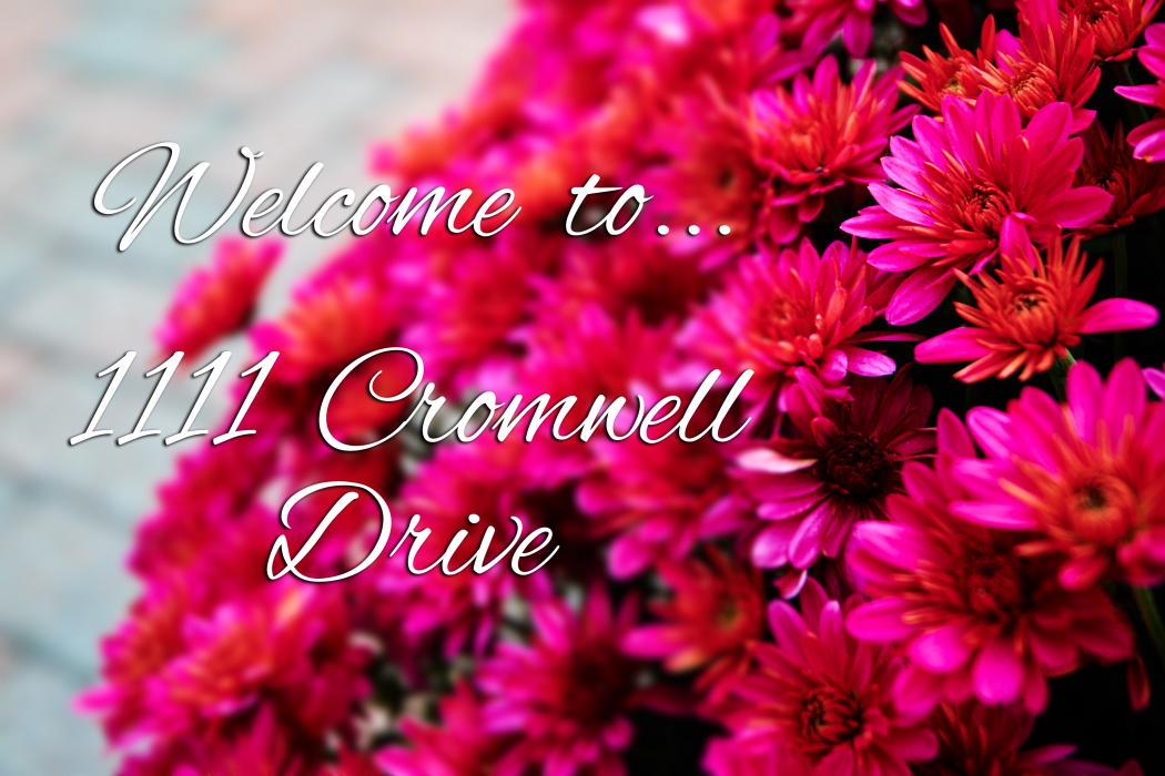 1111 Cromwell Drive Ottawa London House Photography