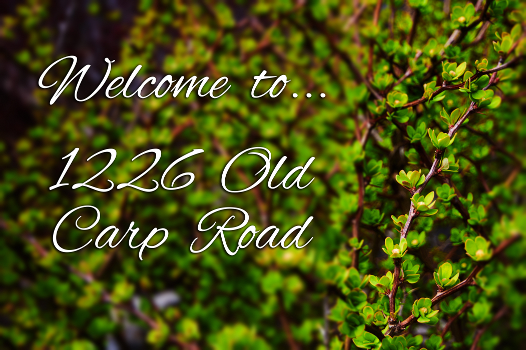 1226 Old Carp Road Ottawa London House Photography