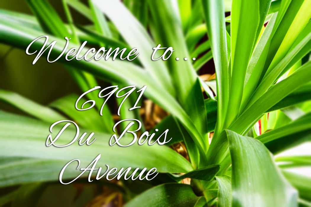 6991 Du Bois Avenue Ottawa – London House Photography